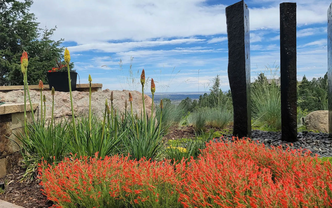 Xeriscaping